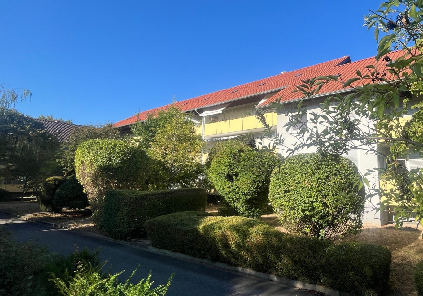 Ansicht West zum begrünten innenhof